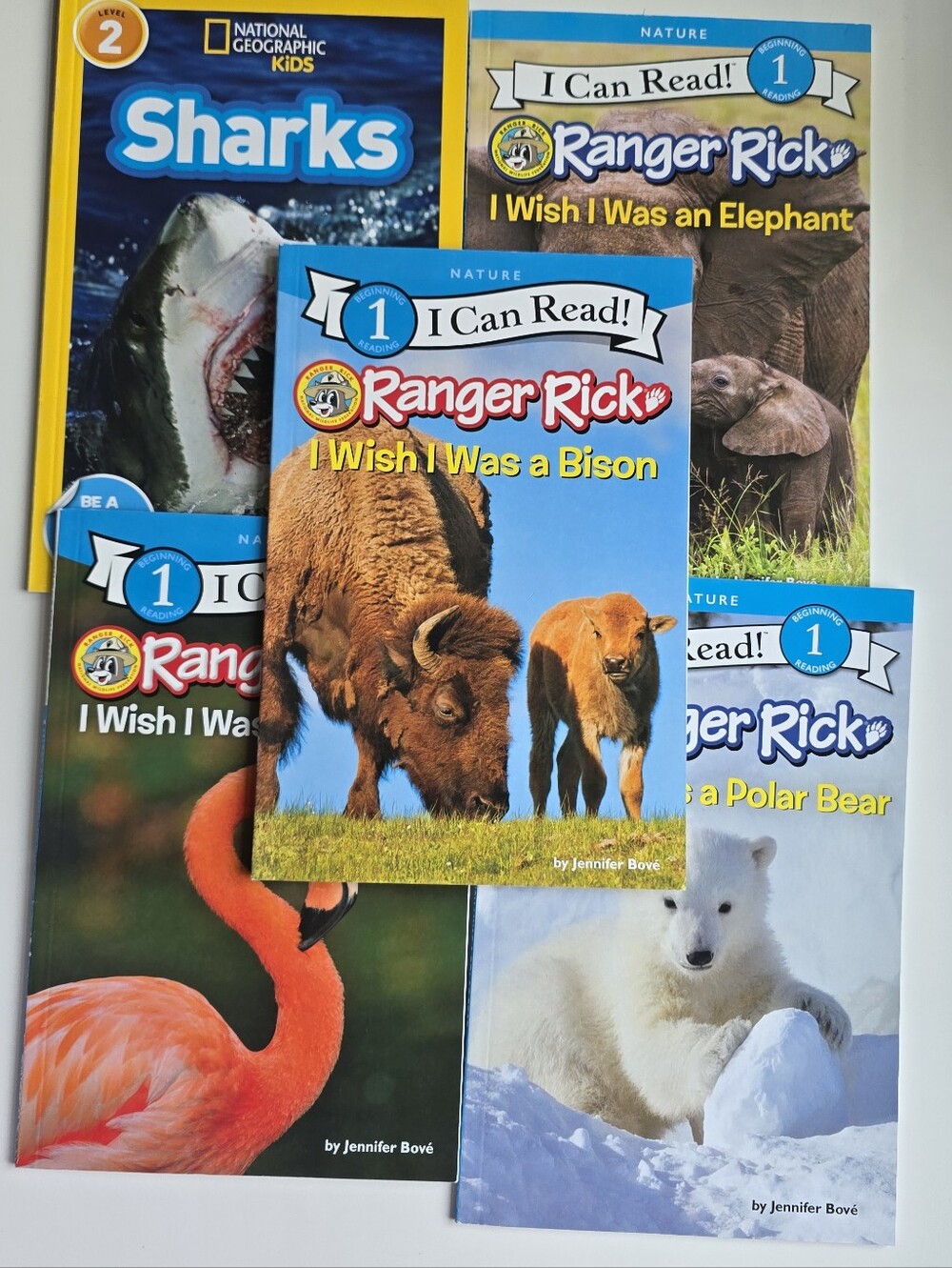 I Can Read! 1&2 Level Ranger Rick Nature Book Bundle - Bears, Sharks,Bison &More